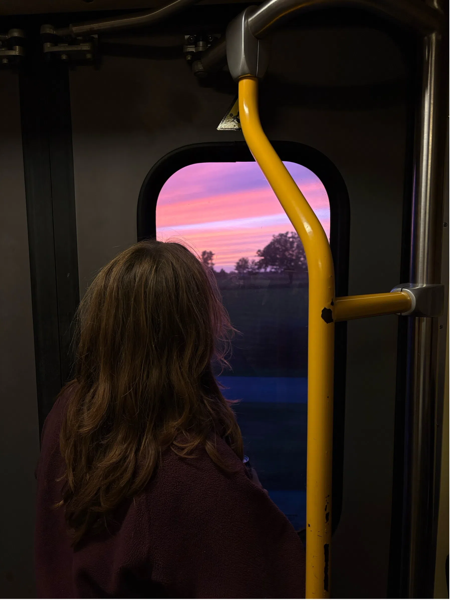 Zonsondergang in de trein